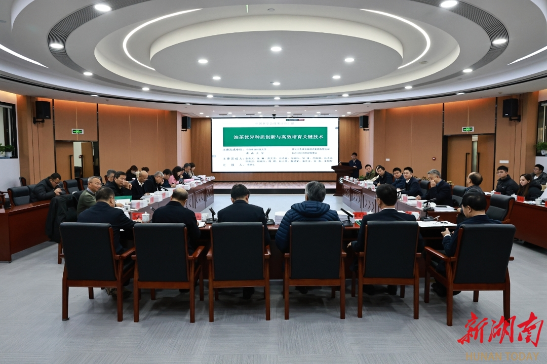 图片111.png